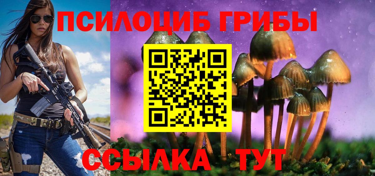 Псилоцибиновые грибы Psilocybine cubensis Оренбург