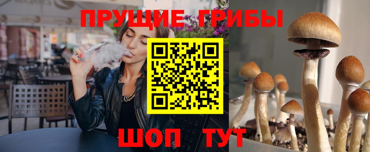 Оренбург  Псилоцибиновые грибы MAGIC MUSHROOMS  Галлюциногенные грибы прущие грибы  Вход с VPN 